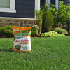 Scotts® Turf Builder® SummerGuard® Lawn Food with Insect Control (40.05 lb. bag covers 15,000 sq. ft.)