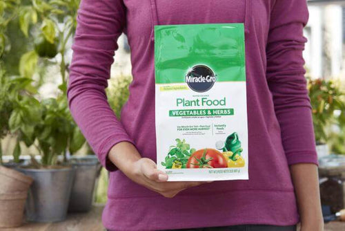 Miracle-Gro® Water Soluble Plant Food Vegetables and Herbs (2 lbs)