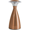 Fulcrum 24414-131 LED Metal Lantern ~ Copper