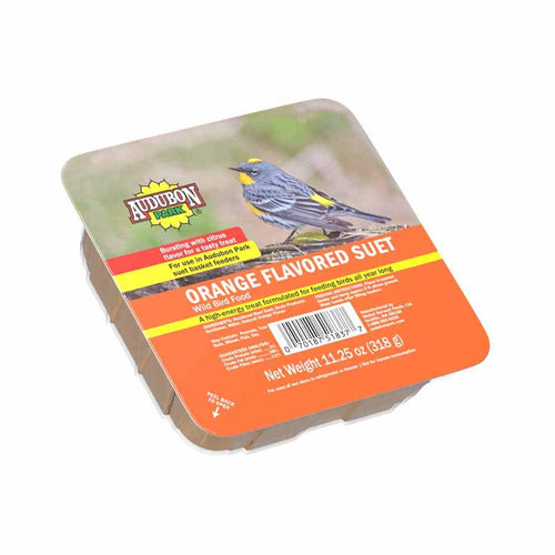 Audubon Park Orange Flavored Suet (11.25 Oz)