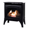 Phoenix Gas Stove, Vent-Free, Dual Fuel, Black, 20,000-BTU