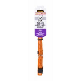 Reflective Padded Dog Collar, Orange, 3/8 x 8-12-In.