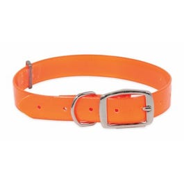 Ruff Maxx Collar, Orange, 1 x 14-22-In.