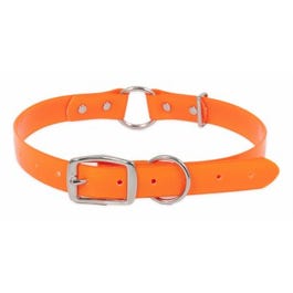Ruff Maxx Collar, Orange, 1 x 20-28-In.
