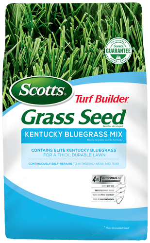 Scotts® Turf Builder® Grass Seed Kentucky Bluegrass Mix (3 lb)