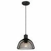 Pendant Light Fixture, Matte Black With Cage Shade, 60-Watt