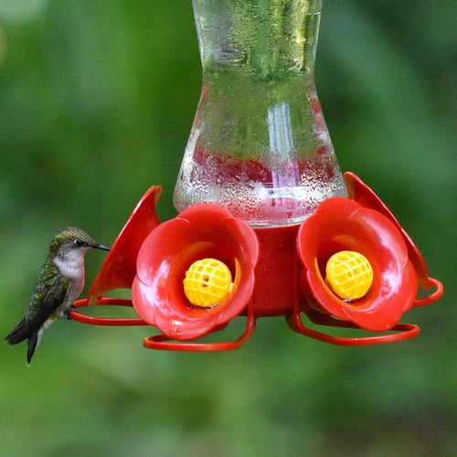 Perky-Pet® Favored Pinch-Waist Glass Hummingbird Feeder (16 oz)