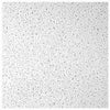 Ceiling Tile, Plateau, 2 x 4-Ft.