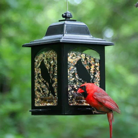 Woodstream Perky-Pet® Birds And Berries Lantern Wild Bird Feeder (Black)