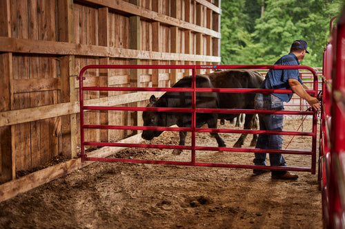 Tarter Bullmax Round Corner Gate (Red)