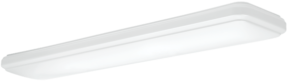 ETI 54647142 – 1′ x 4′ Reva Stepped Lens – Ceiling Light (1'x 4')