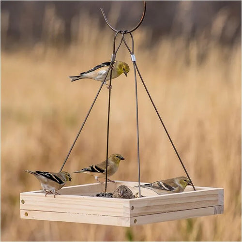 Perky-Pet® Hanging Tray Bird Feeder