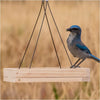 Perky-Pet® Hanging Tray Bird Feeder