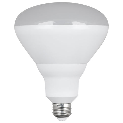 Feit Electric 150W Replacement Daylight BR40 LED