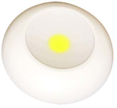 COB ANYWHERE LED LIGHT