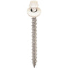 Acorn International 2-1/2 In. Washered White Framing Screw (250 Ct.)