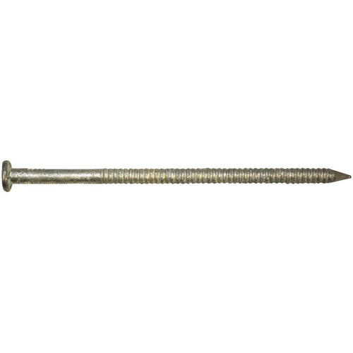 Maze Stormguard 20d x 4 In. 7 ga Hot Dipped Galvanized Pole Barn Nails (1650 Ct., 50 Lb.)