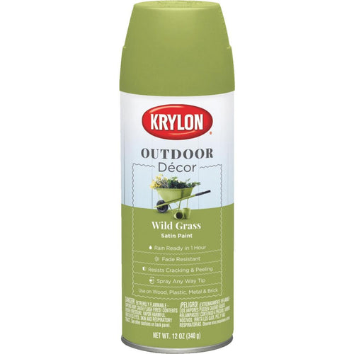 Krylon Outdoor Decor 12 Oz Satin Alkyd Spray Paint, Wild Grass