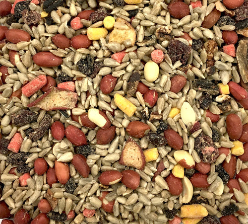 Cole's Wild Bird Products Nutberry Suet BlendTM Bird Food