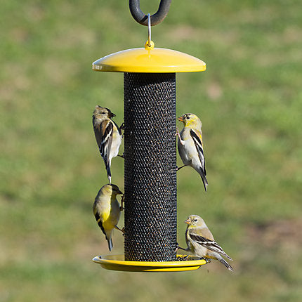 Perky-Pet® Shorty Finch Feeder