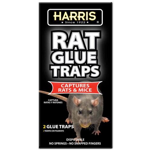 Harris Rat Glue Board Trap