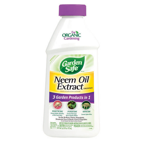 GARDEN SAFE NEEM OIL EXTRACT CONCENTRATE (16 oz)