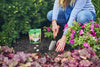 Miracle-Gro® Quick Start® Planting Tablets (5.64 oz)