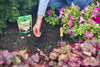 Miracle-Gro® Quick Start® Planting Tablets (5.64 oz)