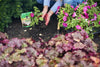 Miracle-Gro® Quick Start® Planting Tablets (5.64 oz)