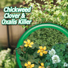 Bonide Chickweed, Clover & Oxalis Killer Concentrate