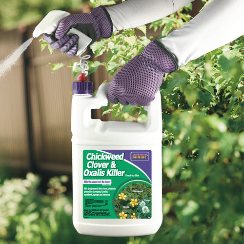 Bonide Chickweed, Clover & Oxalis Killer Ready-to-Use