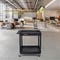 Luxor Endura® XL 38 H Two-Shelf Utility Cart, 32 W x 24 D, Black, Tub Shelves