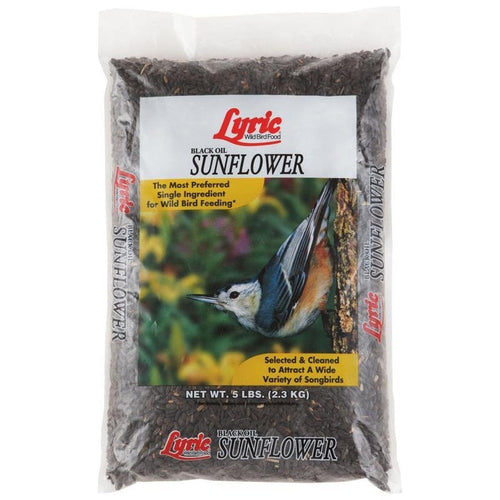 LYRIC BLACK OIL SUNFLOWER (5 lb)